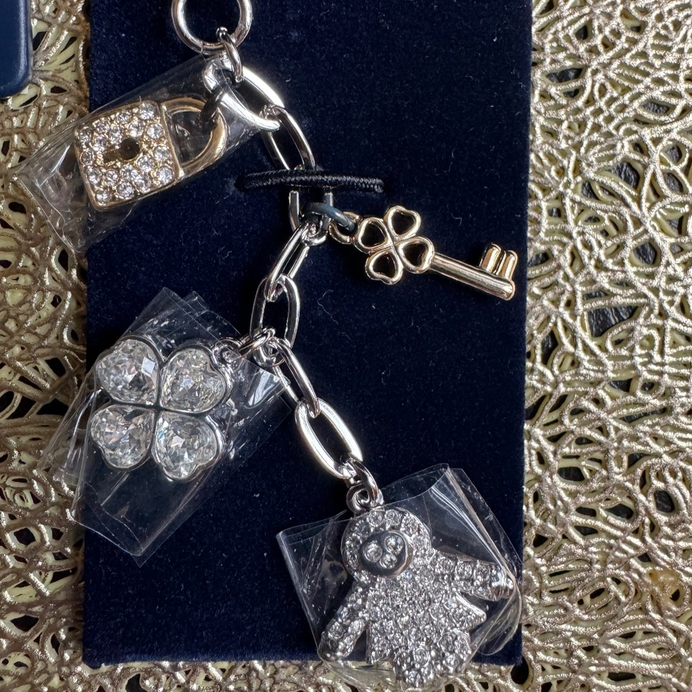 Swarovski Charms accessories 886826 NWT